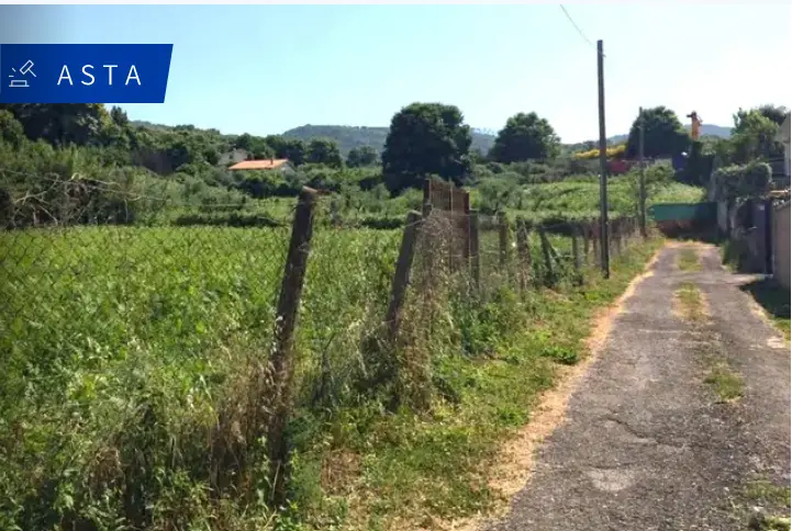 Terreno · San Cesareo