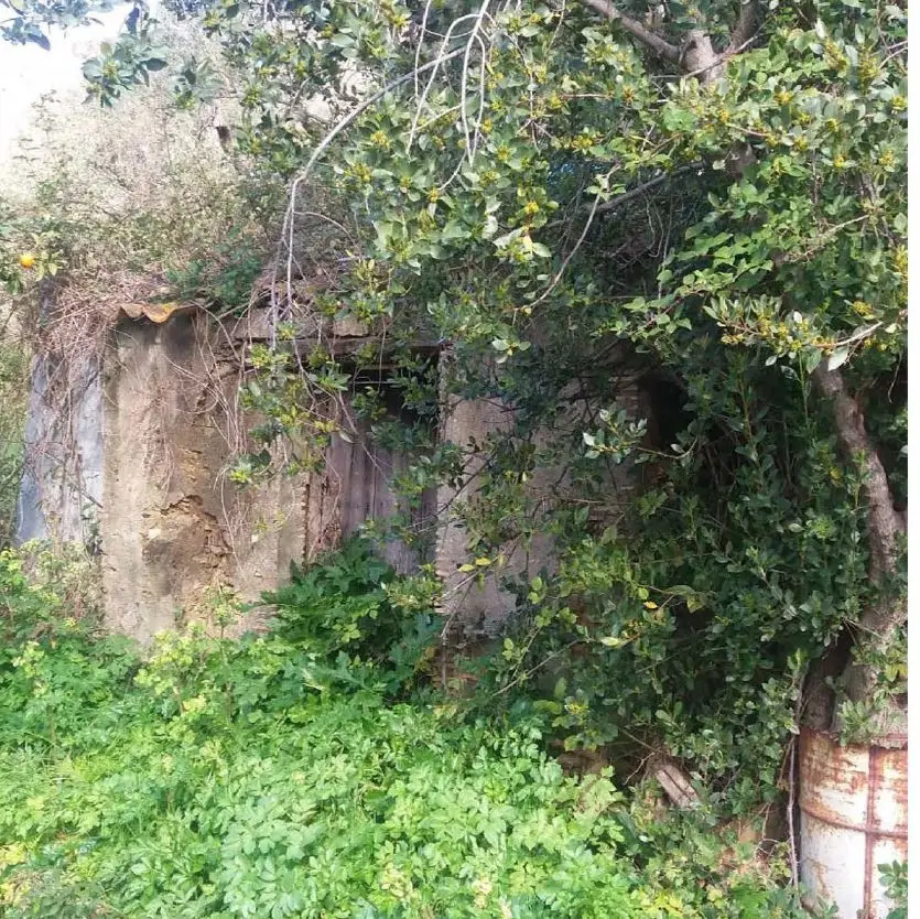 Terreno · Montagnareale