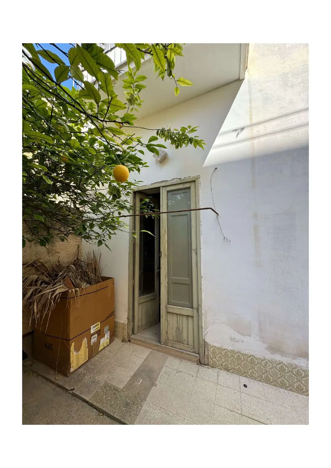 Cantina · Trapani