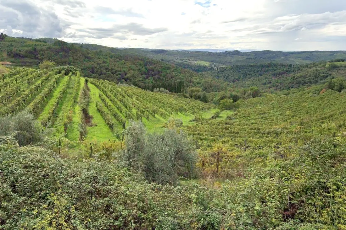 Terreno · Greve in Chianti