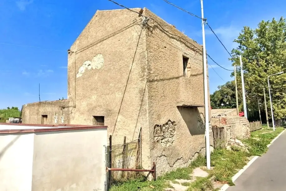 Terreno · Falcone
