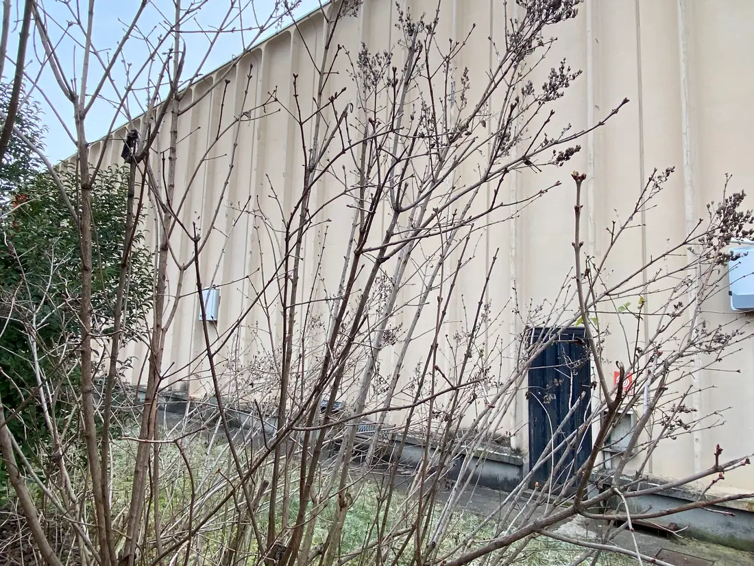 Fabbricati Costruiti Per Esigenze Industriali · Brugherio
