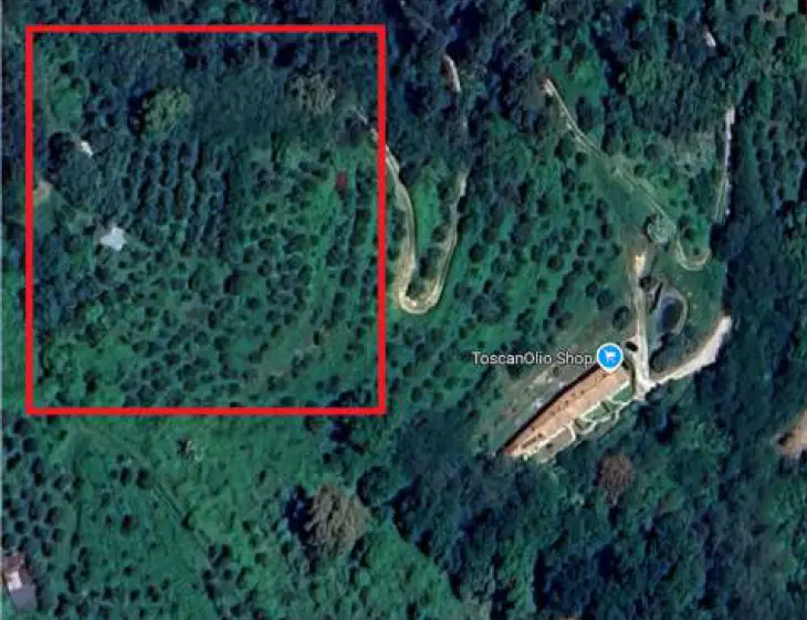Terreno · Buti