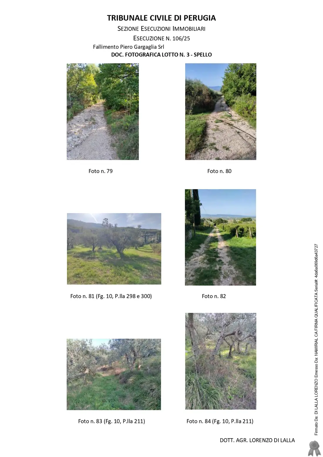 Terreno · Spello