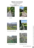 Terreno all'asta a Spello (PG)