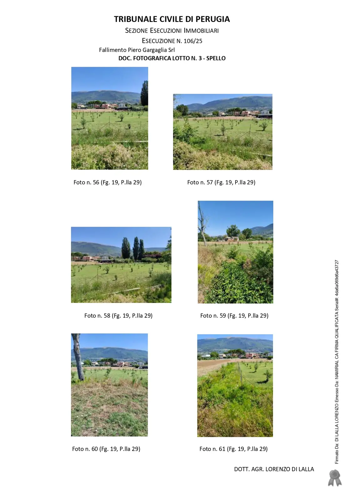 Terreno · Spello