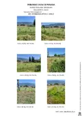 Terreno all'asta a Spello (PG)