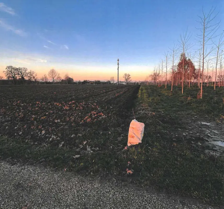 Terreno · Santa Maria di Sala