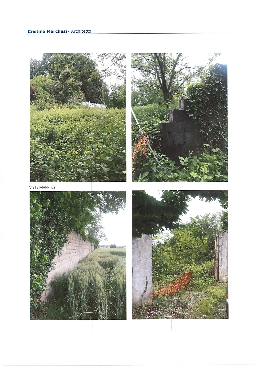 Terreno · Basiano