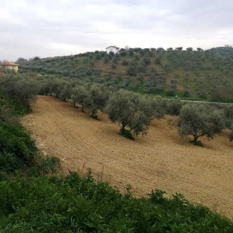 Terreno · Pianella