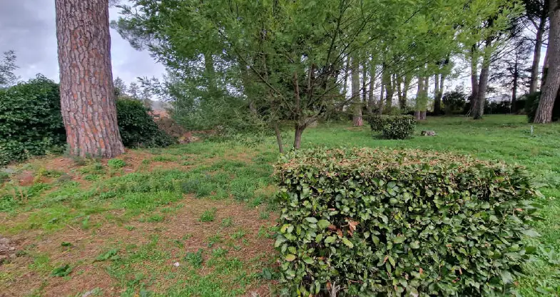 Terreno · Grottaferrata