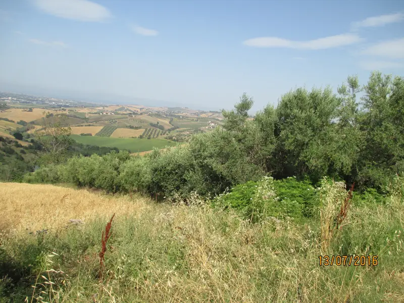 Terreno · Castellalto