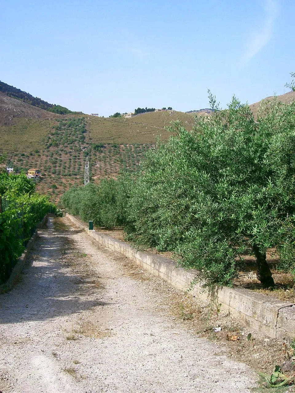 Terreno · Belmonte Mezzagno