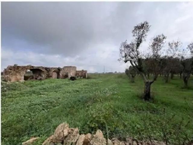 Terreno · San Pietro Vernotico