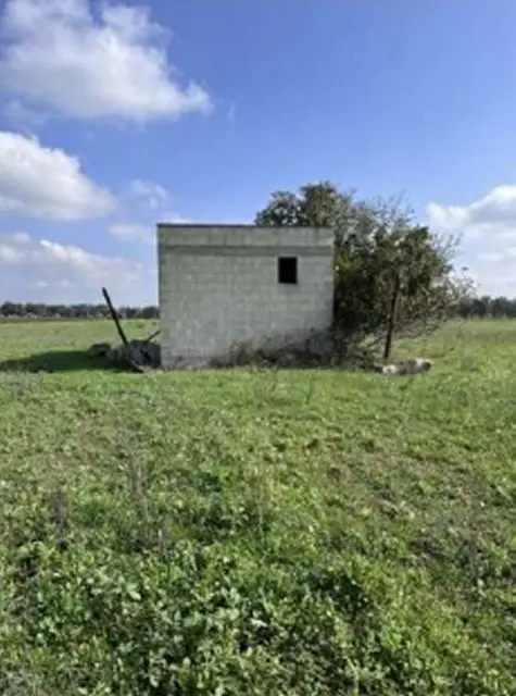 Terreno · San Donaci
