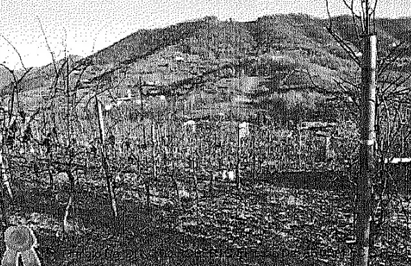 Terreno · Scanzorosciate
