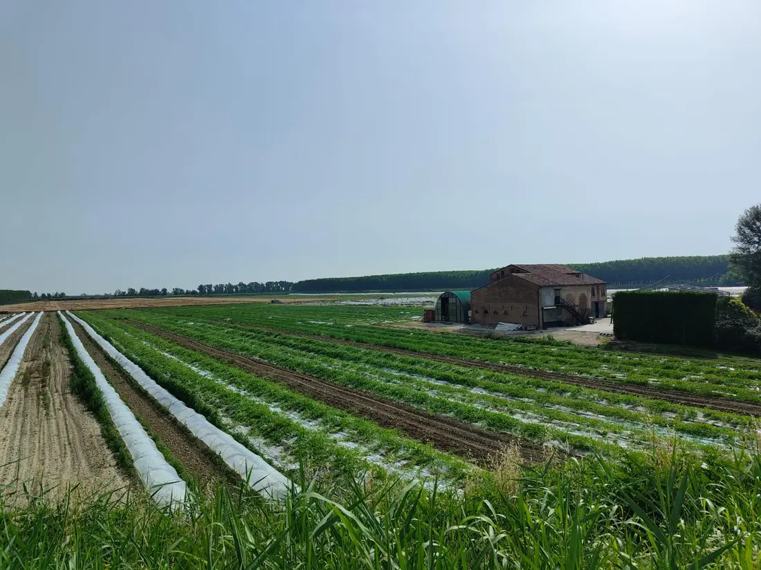 Terreno · Sermide e Felonica
