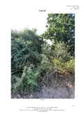 Terreno all'asta a Calvizzano (NA)