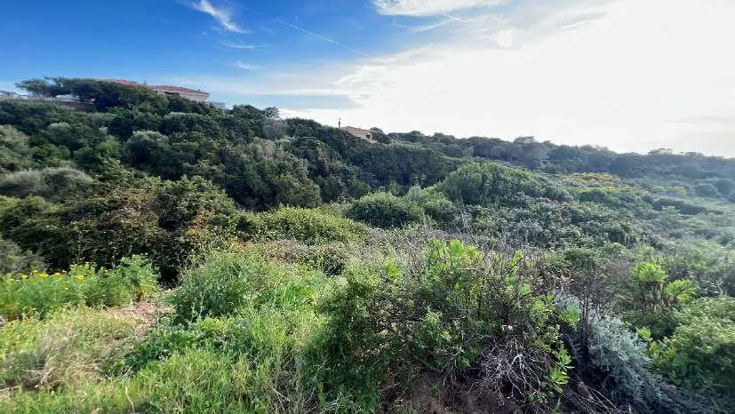Terreno · Santa Teresa Gallura