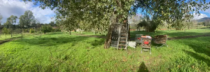 Terreno · Montecorvino Rovella