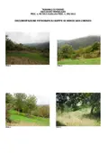 Terreno all'asta a Borgo San Lorenzo (FI)