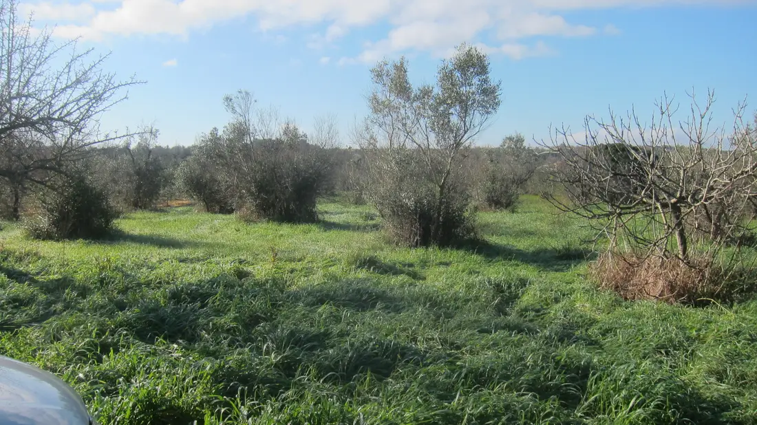 Terreno · Ugento