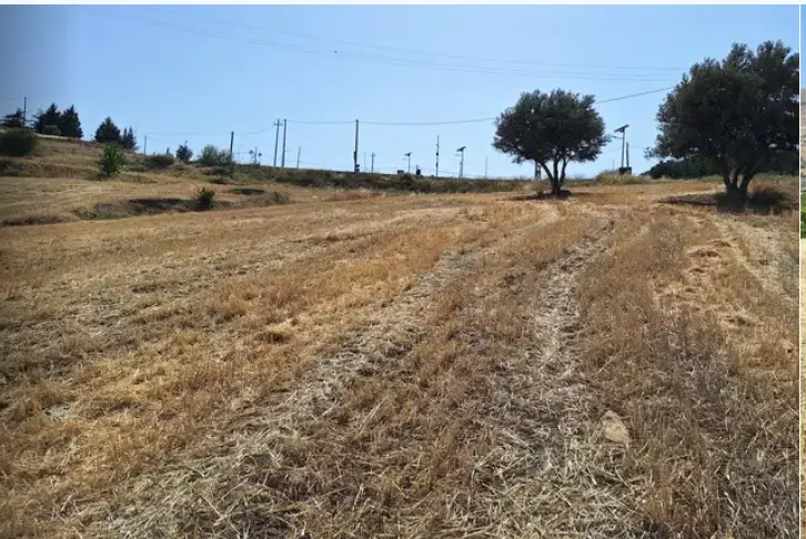 Terreno · Regalbuto