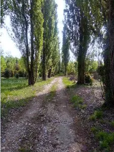 Terreno · Caneva