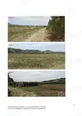 Terreno all'asta a Tursi (MT)