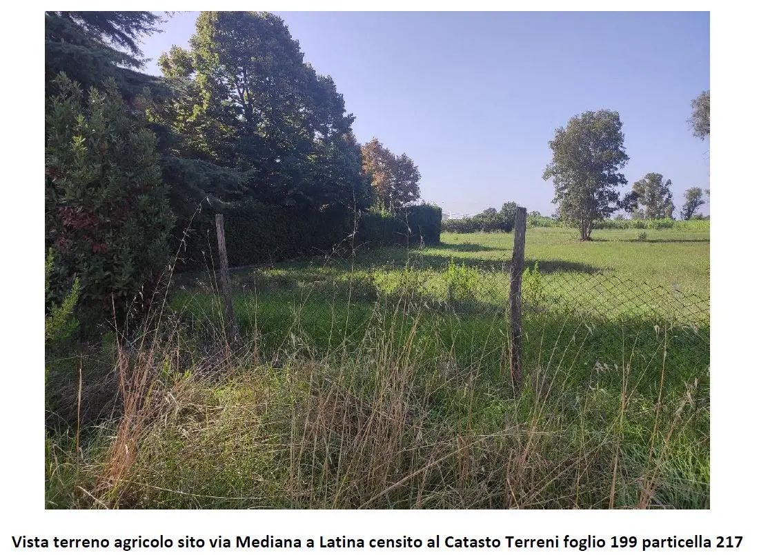 Terreno · Latina