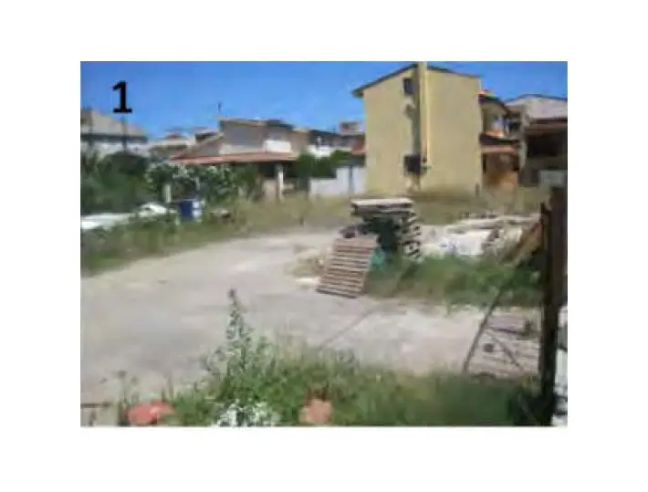 Terreno · Falcone