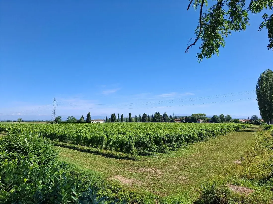 Terreno · Romans d'Isonzo