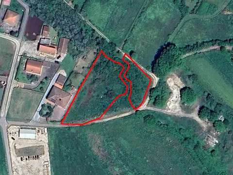 Terreno all'asta a Artena (RM)