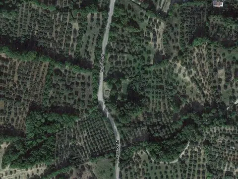 Terreno all'asta a Sant'Arcangelo (PZ)