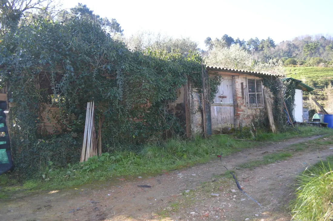 Terreno · Camaiore