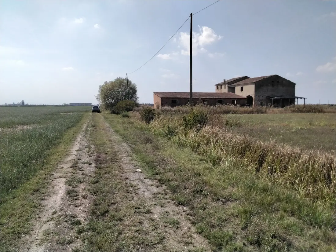 Terreno · Gualtieri