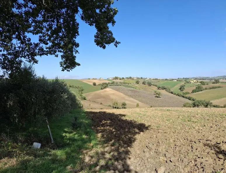 Terreno · Montefalco