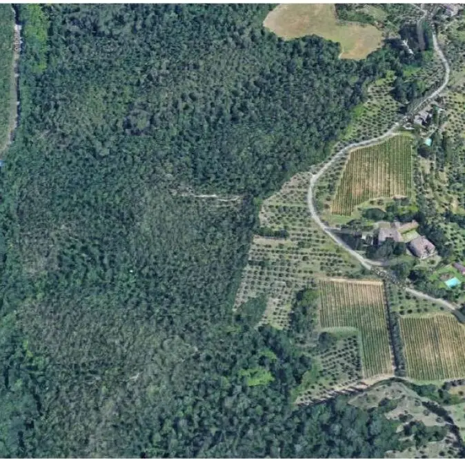 Terreno · Siena