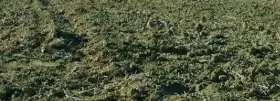 Terreno · Felizzano
