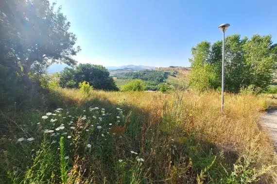 Terreno · Camerino