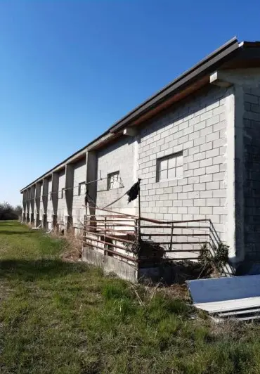 Magazzini E Locali Di Deposito all'asta a San Giorgio della Richinvelda (PN)