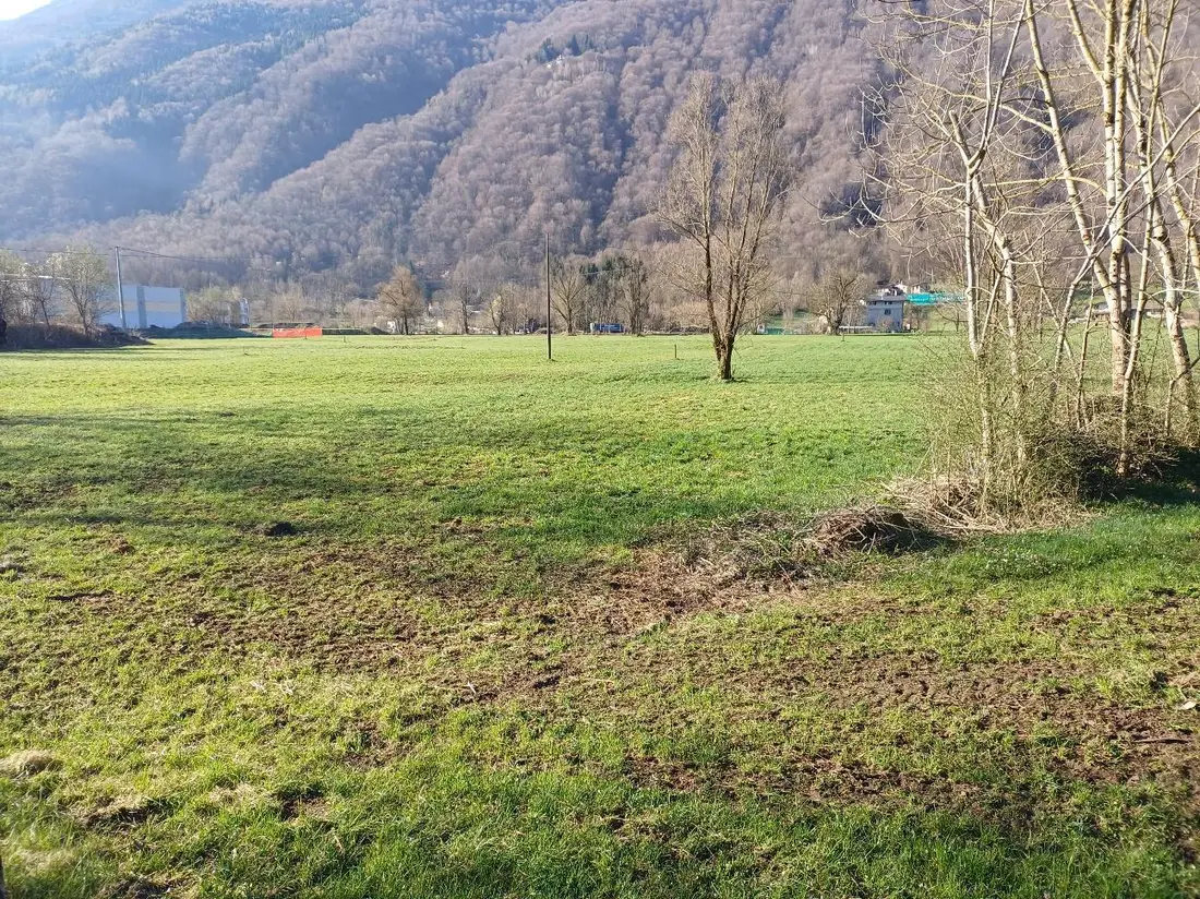 Terreno · Primaluna