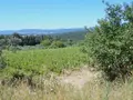 Terreno all'asta a Siena (SI)