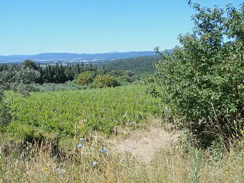 Terreno all'asta a Siena (SI)
