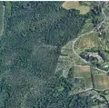 Terreno all'asta a Siena (SI)