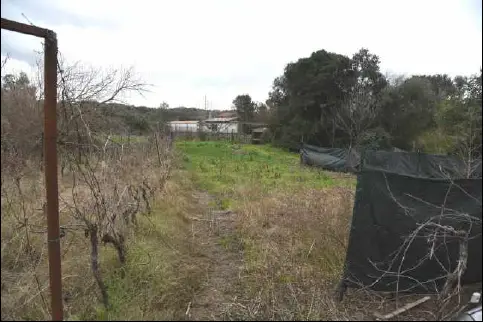 Terreno · Arzachena