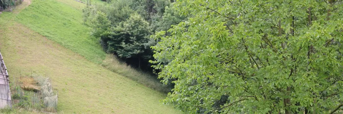 Terreno · Gorno