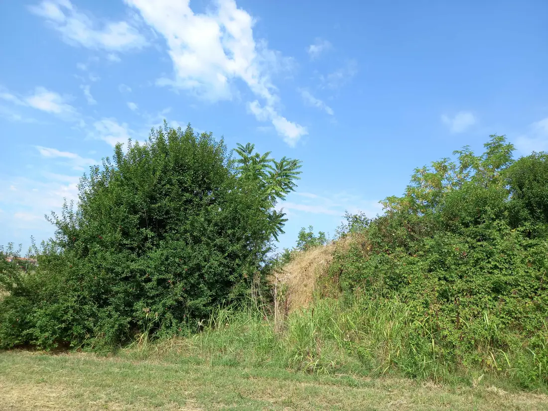 Terreno · Sant'Ilario d'Enza