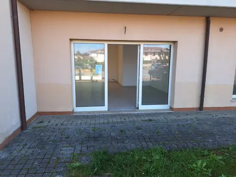 Negozio all'asta a Capannoli (PI)