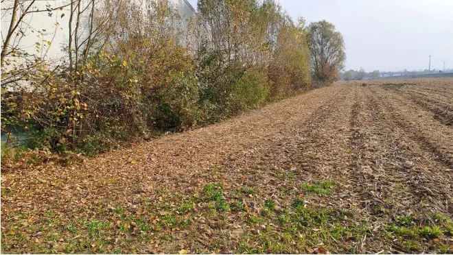 Terreno · Fiume Veneto